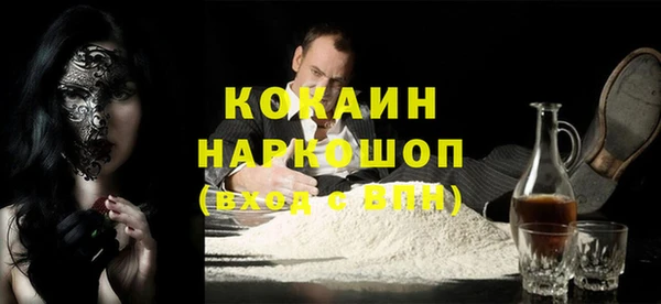 гидра Няндома