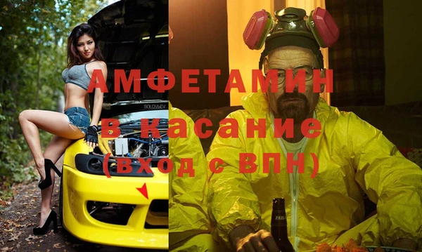 гидра Няндома