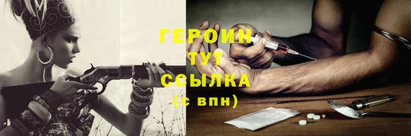гидра Няндома