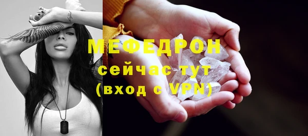 гидра Няндома