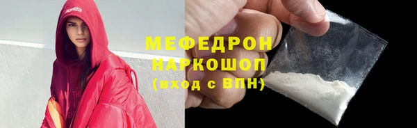 гидра Няндома