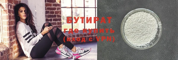 гидра Няндома
