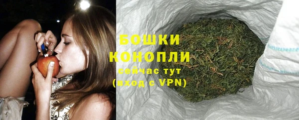 шишки Нягань