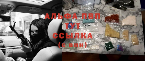 гидра Няндома