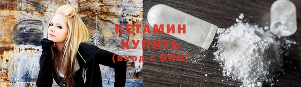 гидра Няндома