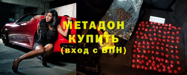 гидра Няндома