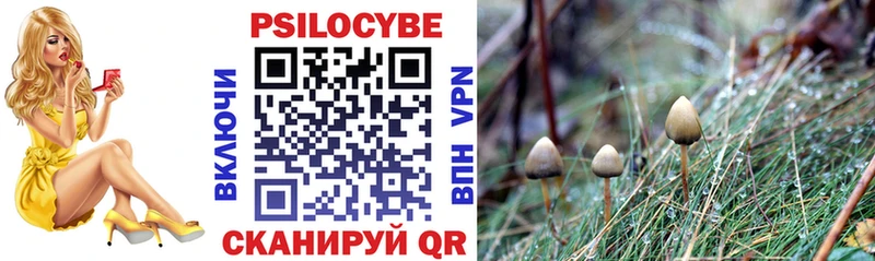 hydra рабочий сайт  Южа  Галлюциногенные грибы GOLDEN TEACHER 